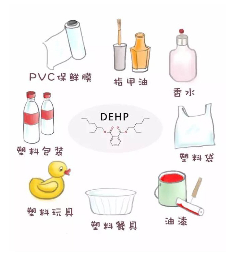 环境内分泌干扰物.png 环境内分泌干扰物.png