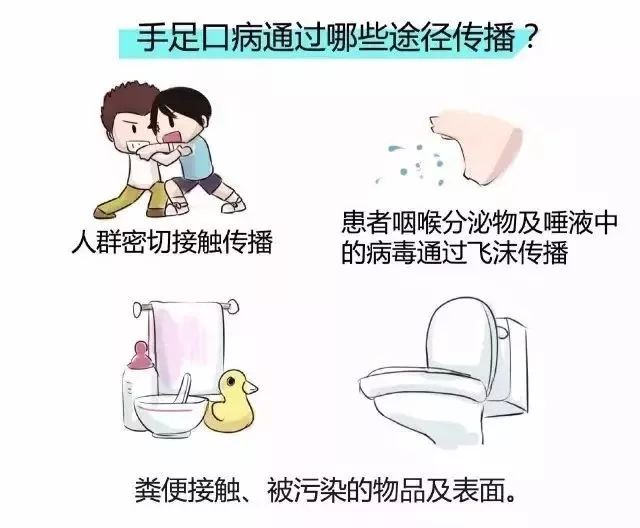 手足口传播途径.jpg 手足口传播途径.jpg