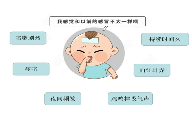 百日咳症状.png 百日咳症状.png